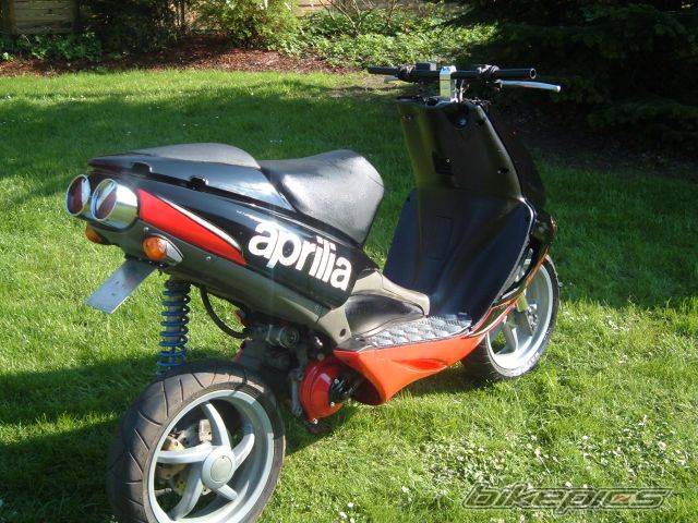 Photo 339375