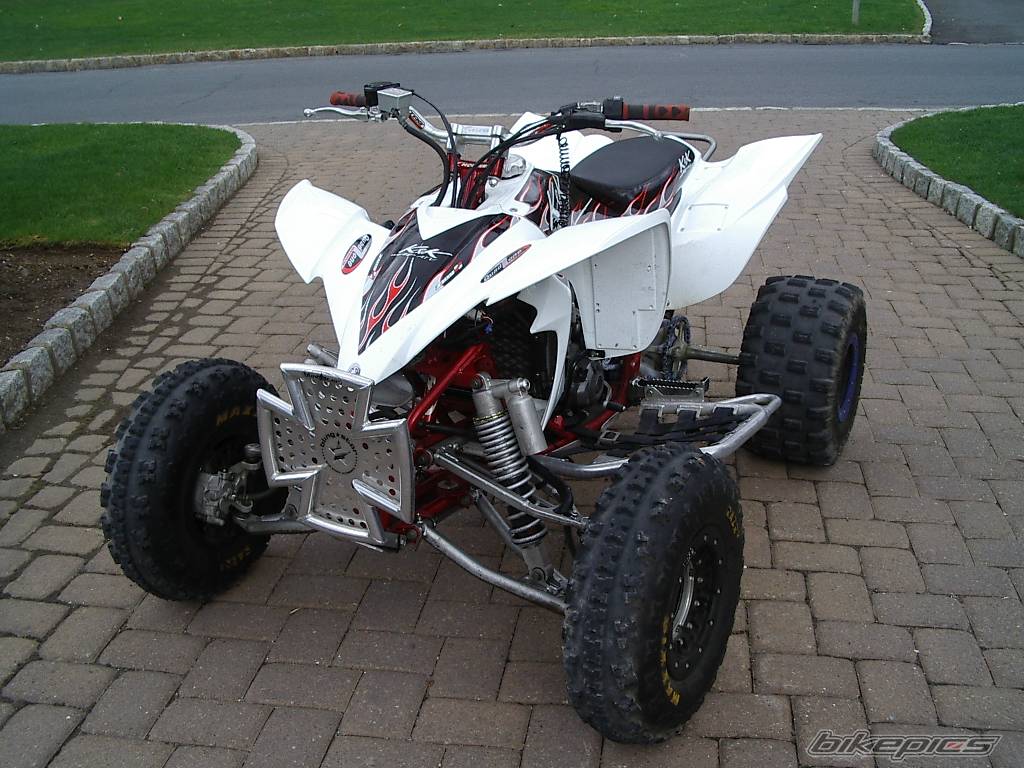 Photo 339457