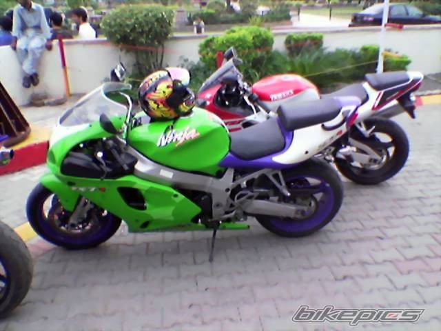 Photo 339469