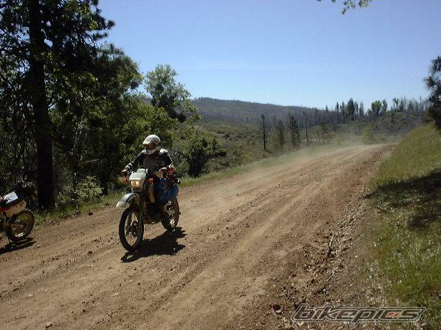 Photo 3395