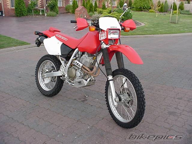 Bike Photo 33954