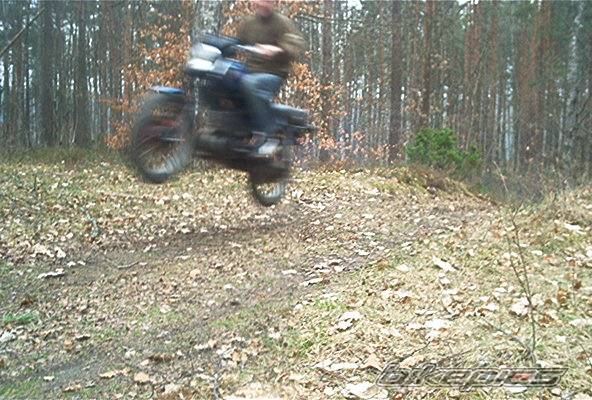 Photo 339550