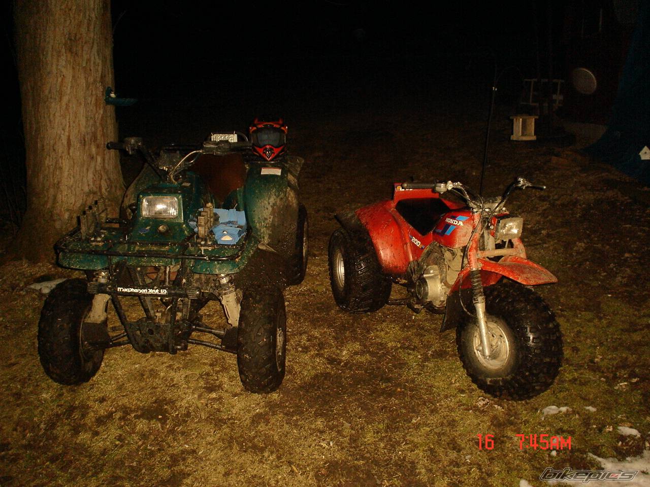 Bike Photo 339567