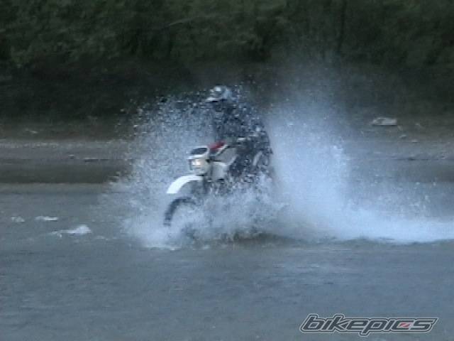 Photo 339617