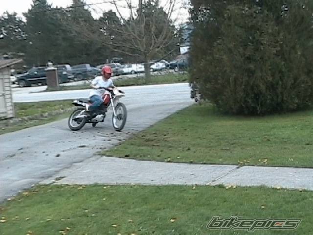 Photo 339620