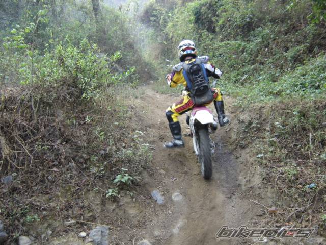 Bike Photo 339631