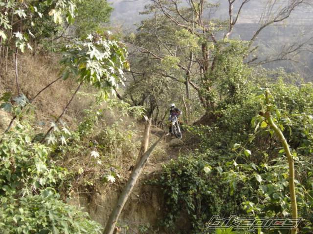 Bike Photo 339637