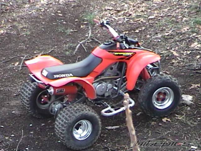 Bike Photo 339672