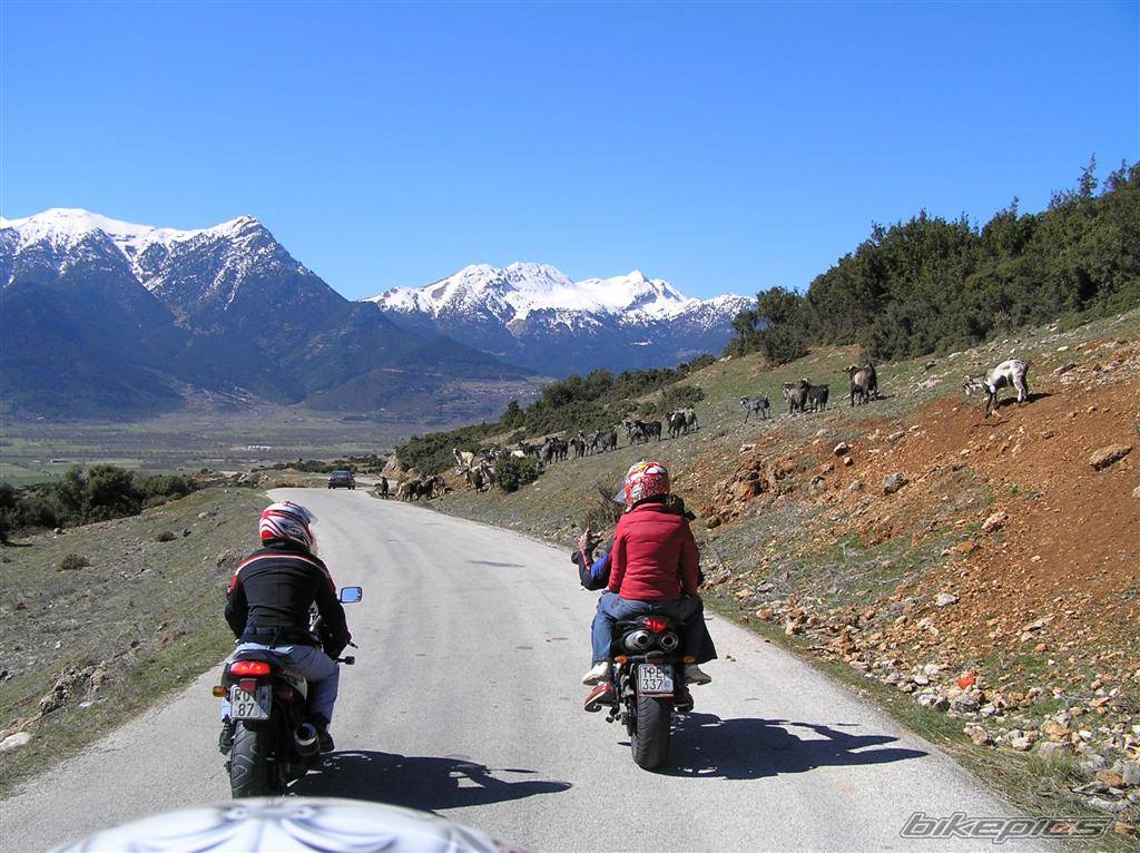 Bike Photo 339720