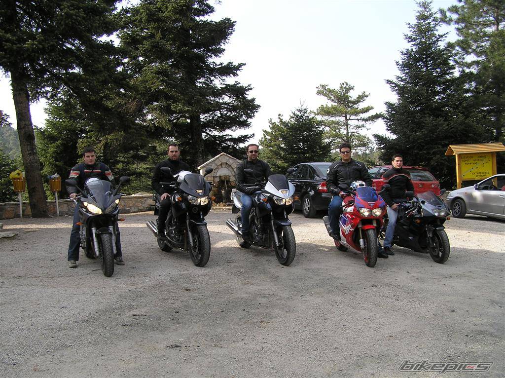 Photo 339723
