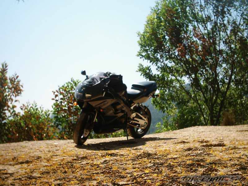 Bike Photo 339751