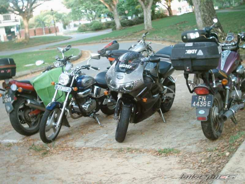 Bike Photo 339782