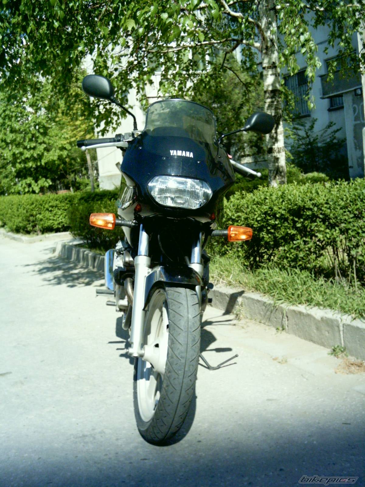 Photo 339792