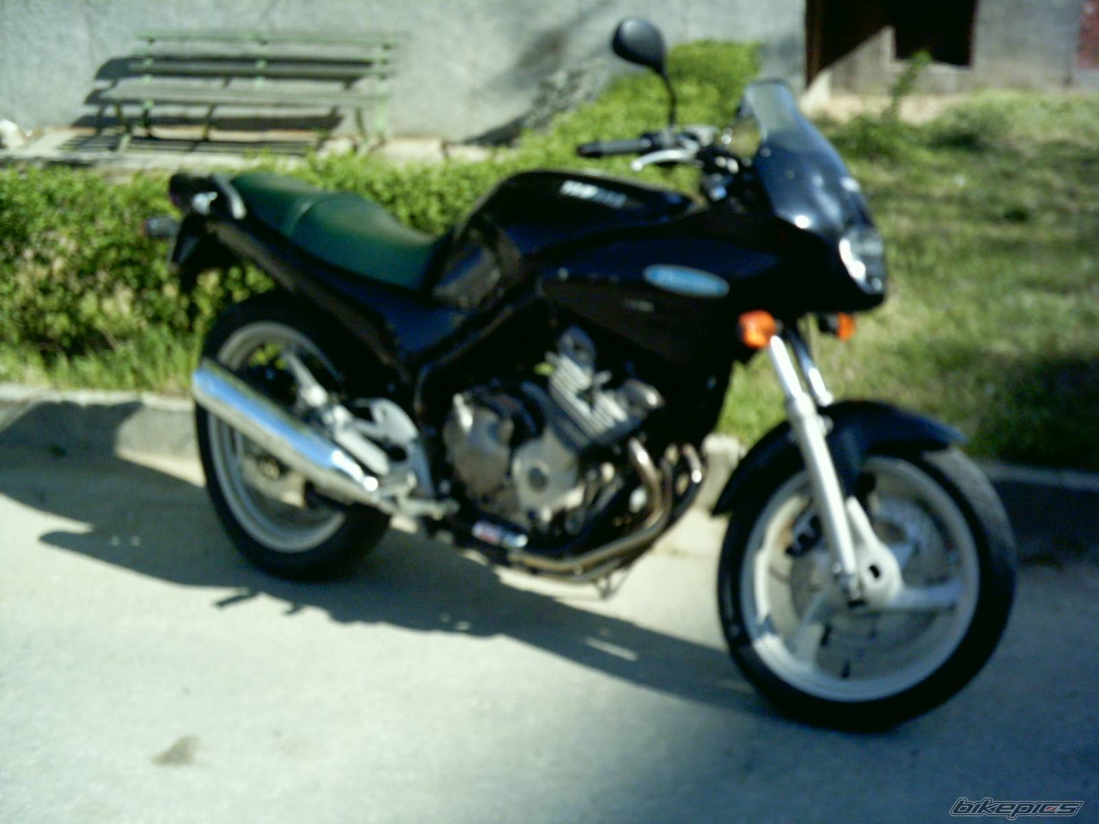 Photo 339796