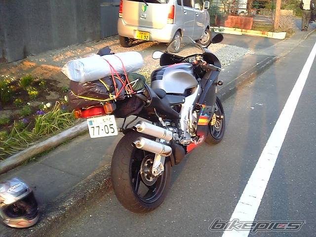 Photo 339907