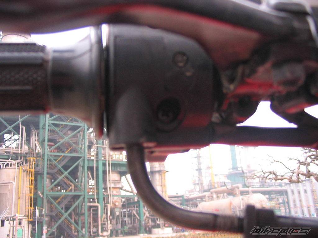 Photo 339971