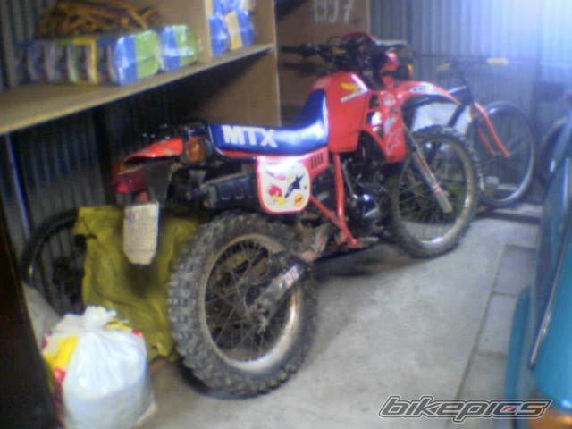 Photo 340777