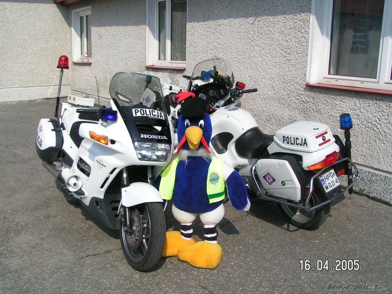 Bike Photo 340971