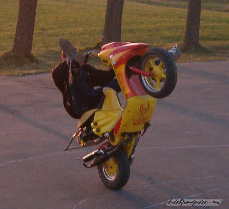 Photo 340989
