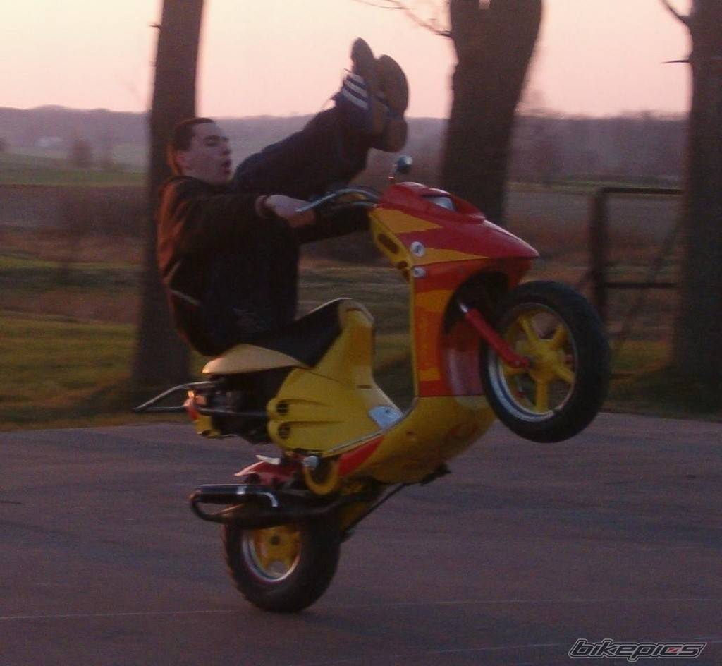Bike Photo 340995