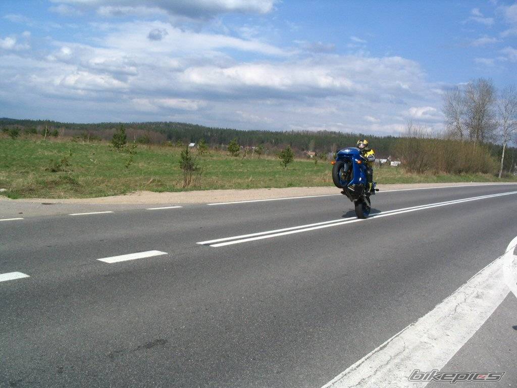 Bike Photo 341047
