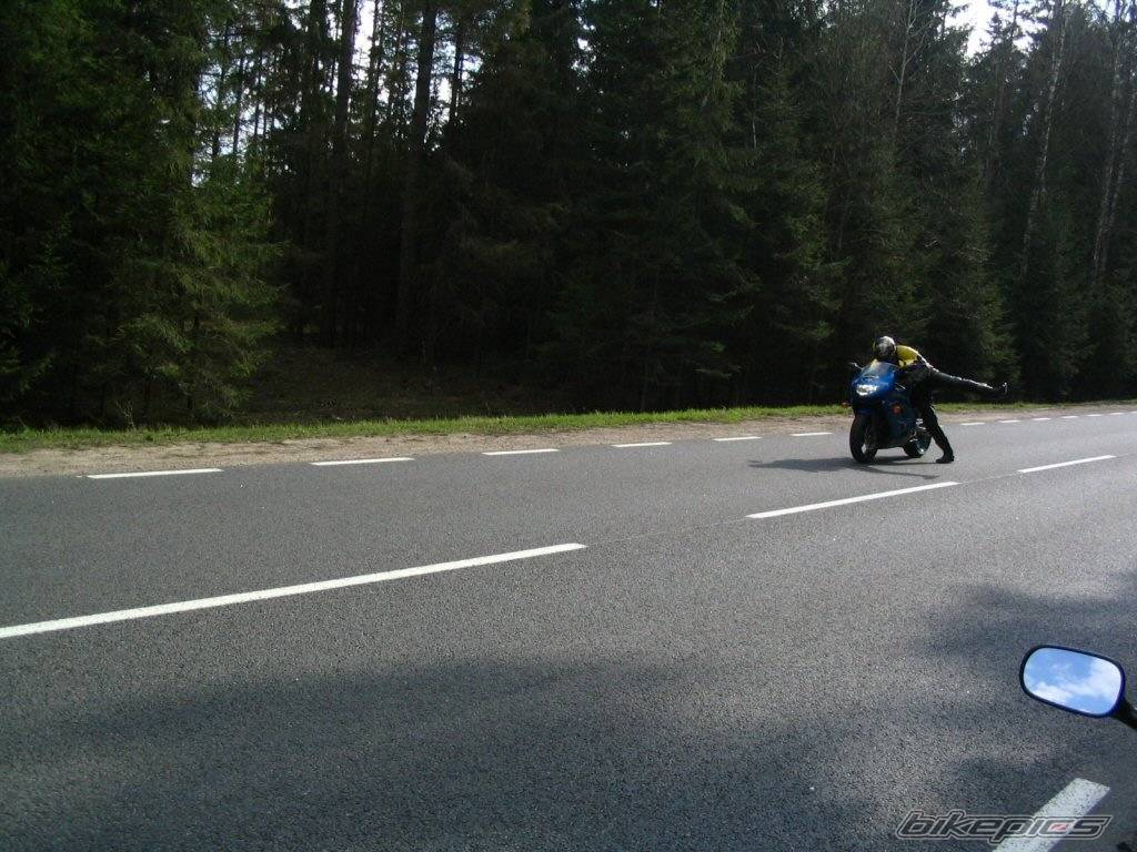 Bike Photo 341051