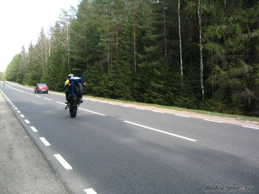 Bike Photo 341053
