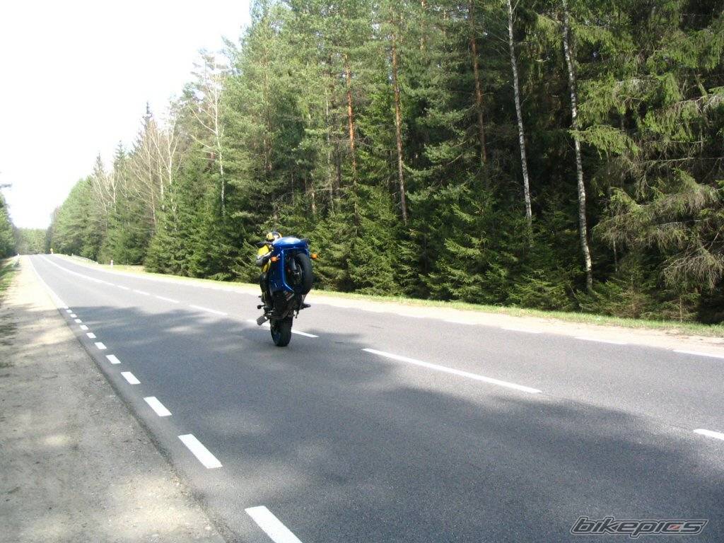 Bike Photo 341061
