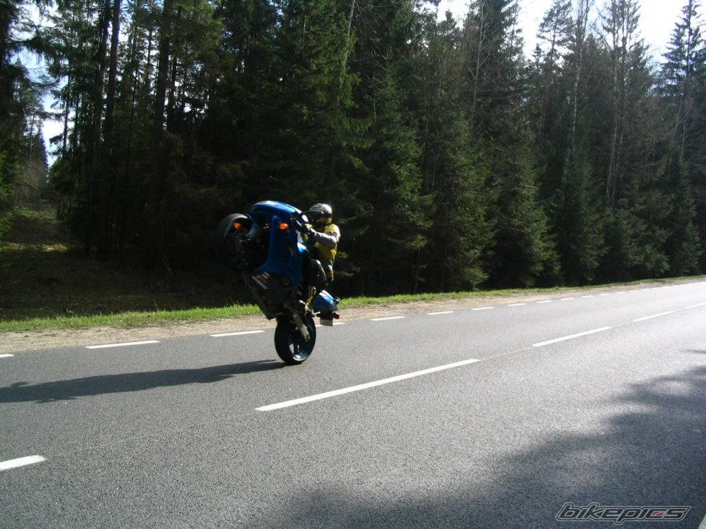 Bike Photo 341064