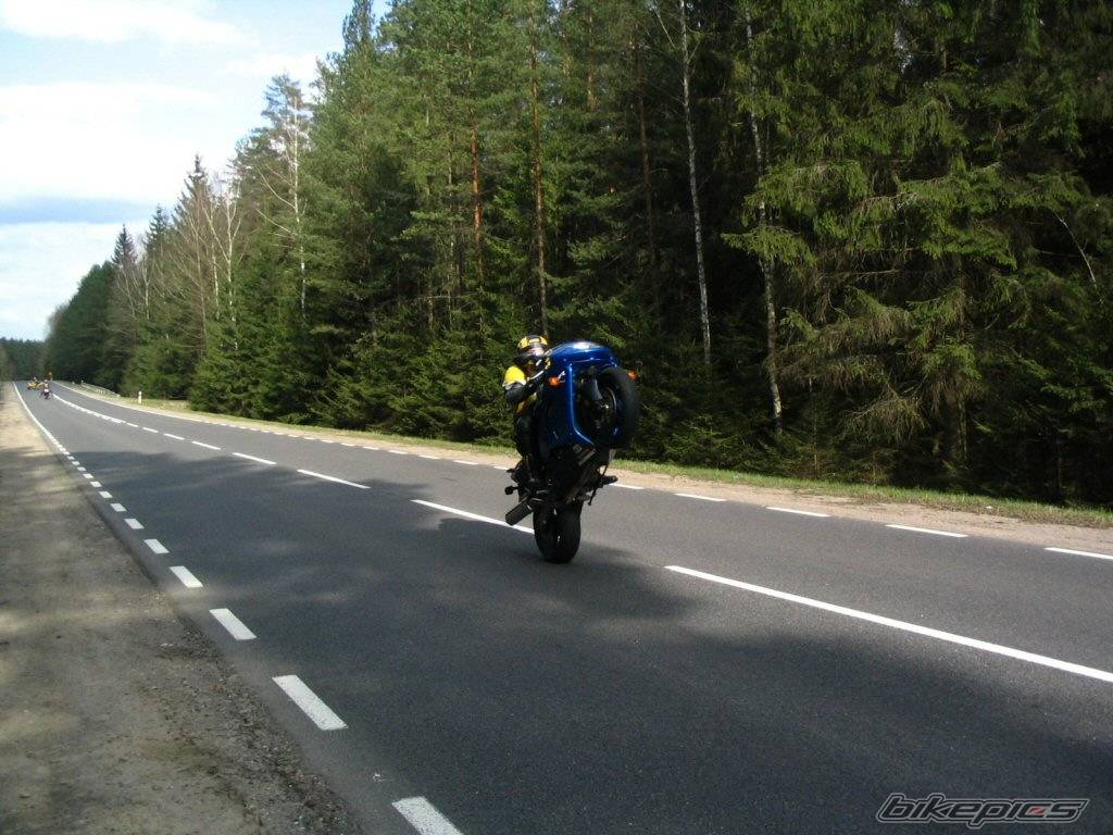 Bike Photo 341067