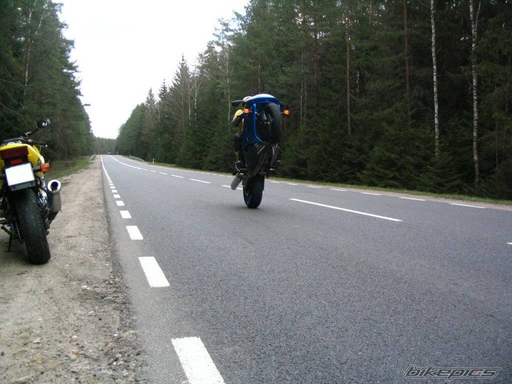 Bike Photo 341071