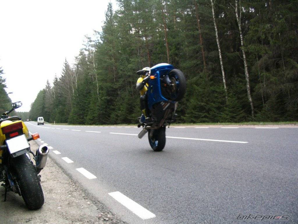 Bike Photo 341072