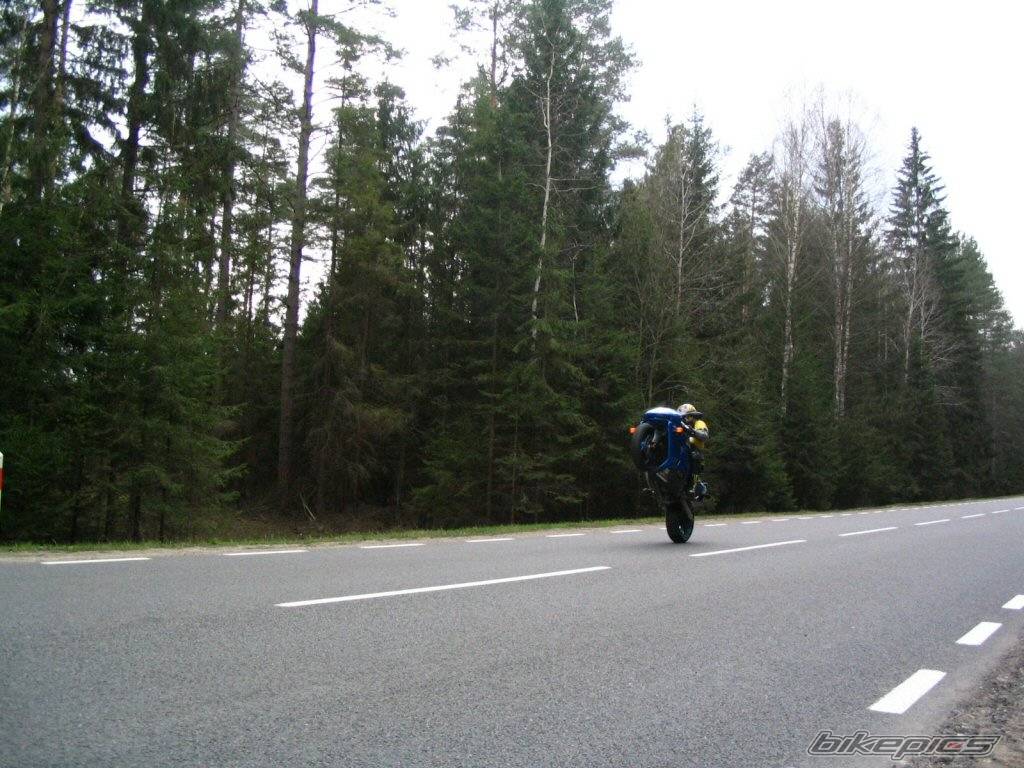 Bike Photo 341074