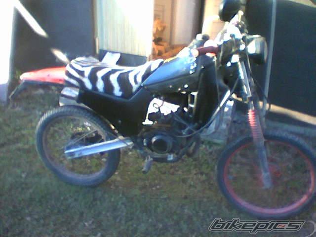Bike Photo 341568