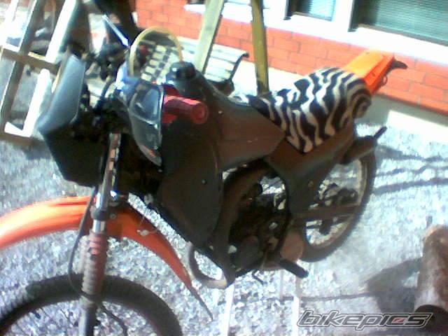 Photo 341573