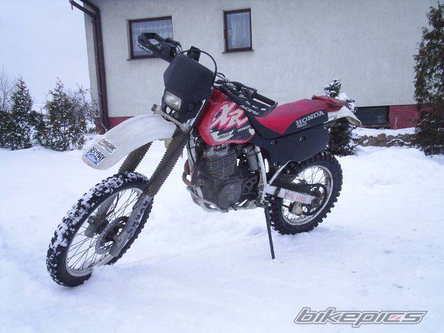 Bike Photo 341579