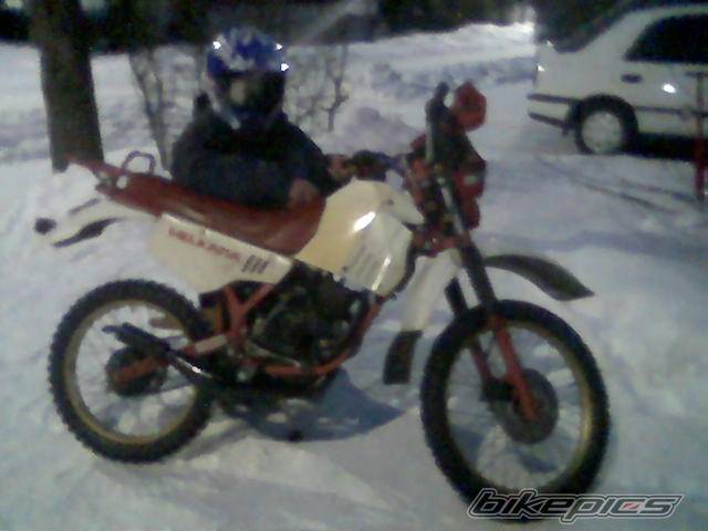 Photo 341604