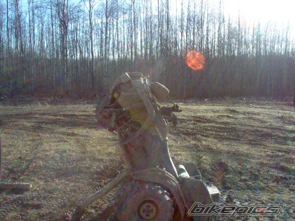 Photo 341731