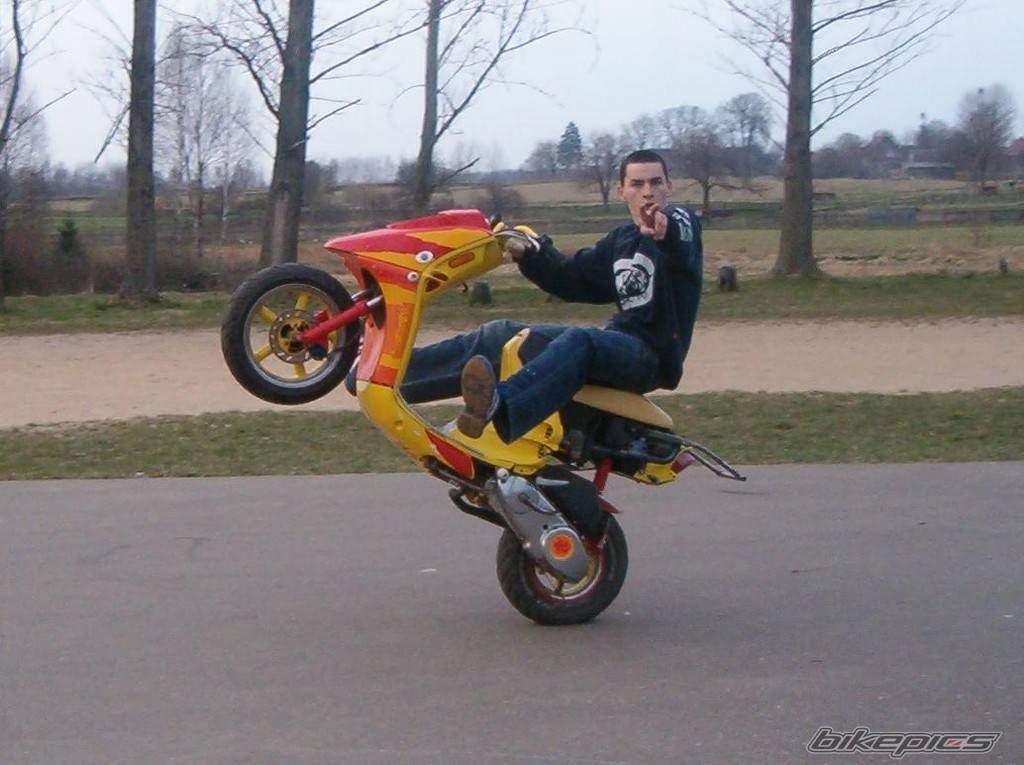 Bike Photo 341765