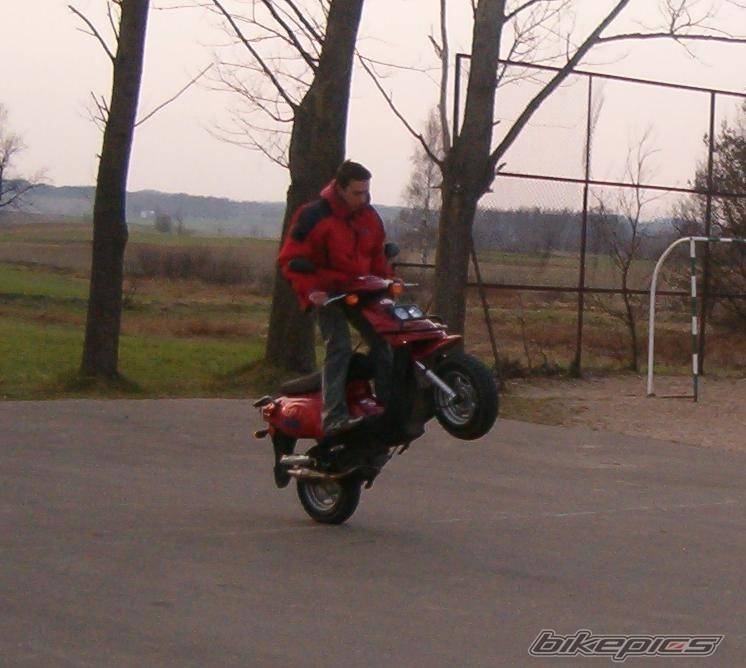 Photo 341781