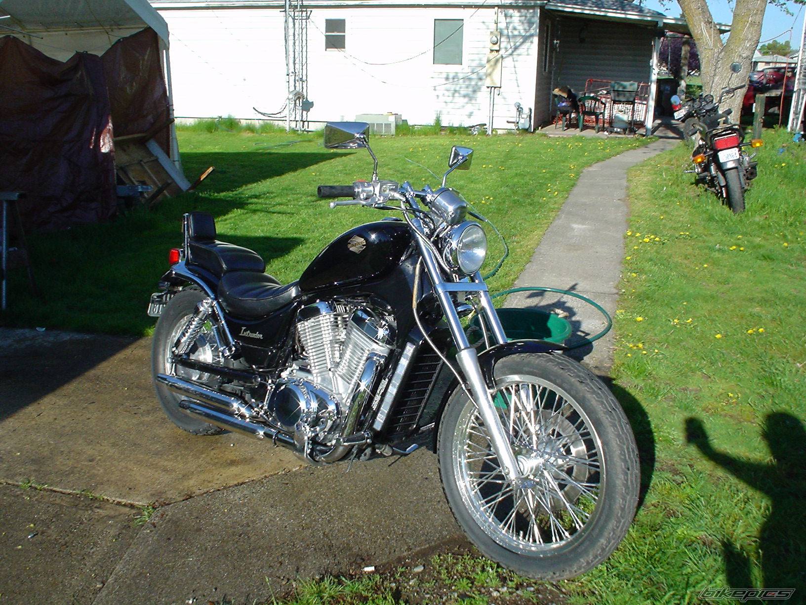Photo 341786