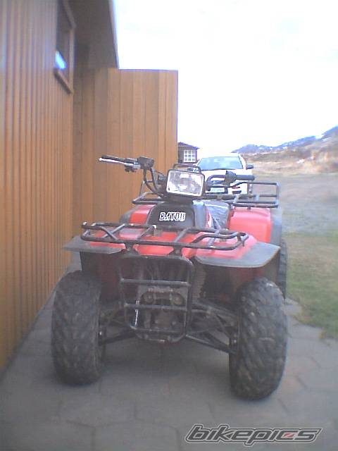 Photo 341829