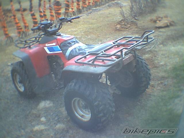 Photo 341834