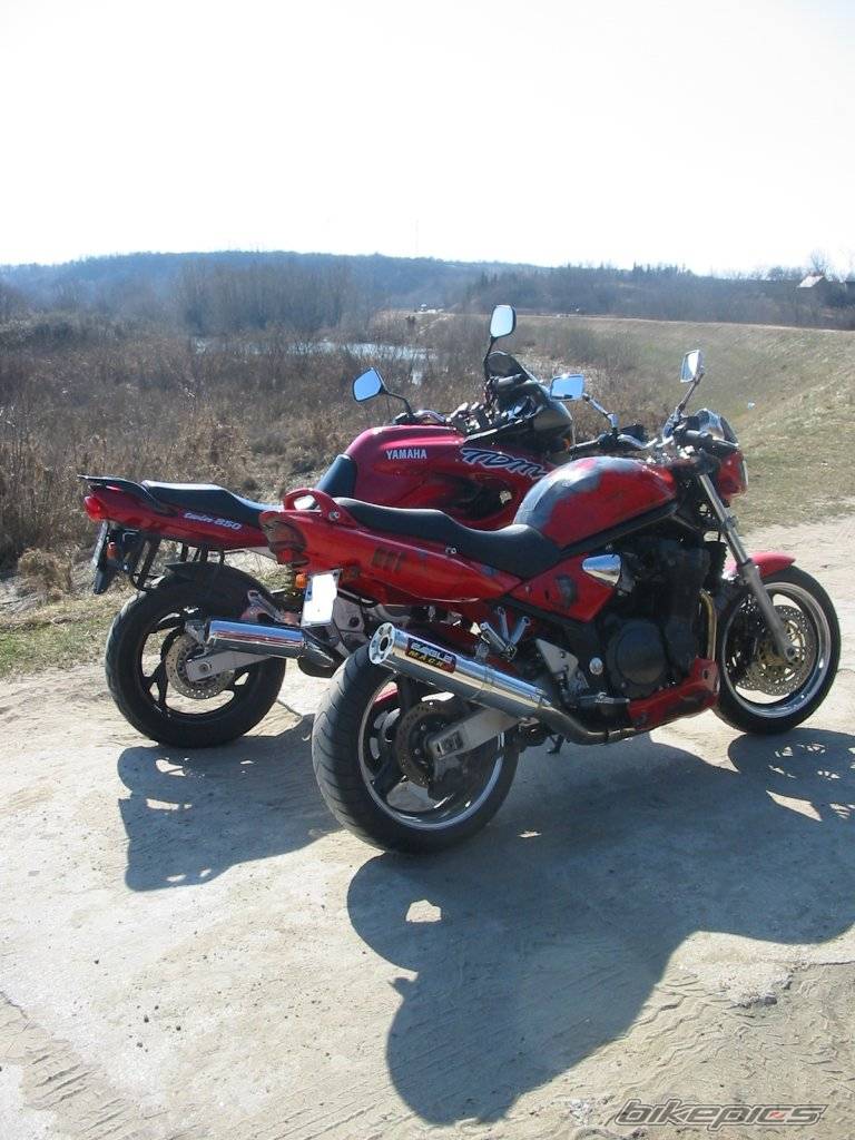 Photo 341878
