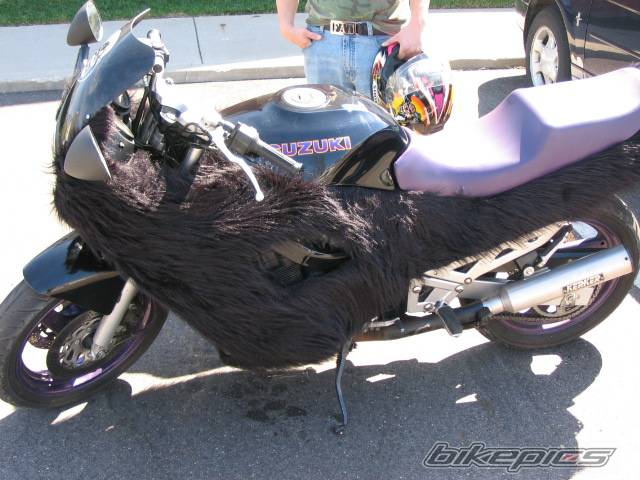 Photo 341980