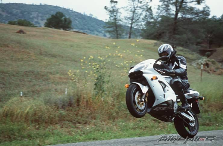 Photo 341999
