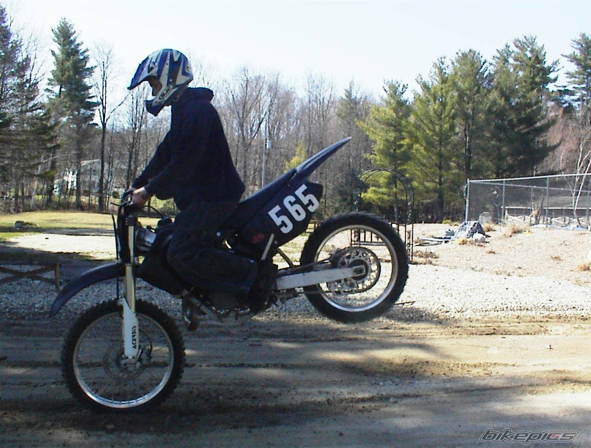 Photo 342022