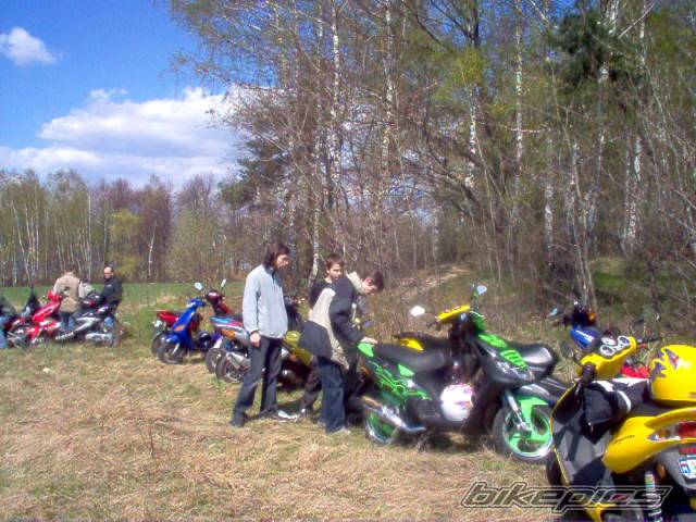Photo 342216