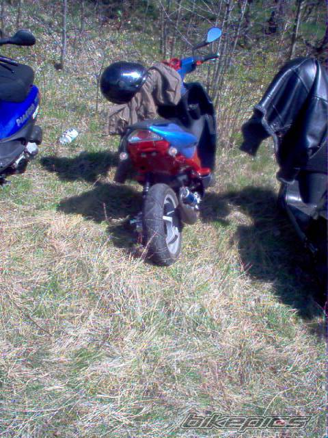 Photo 342218