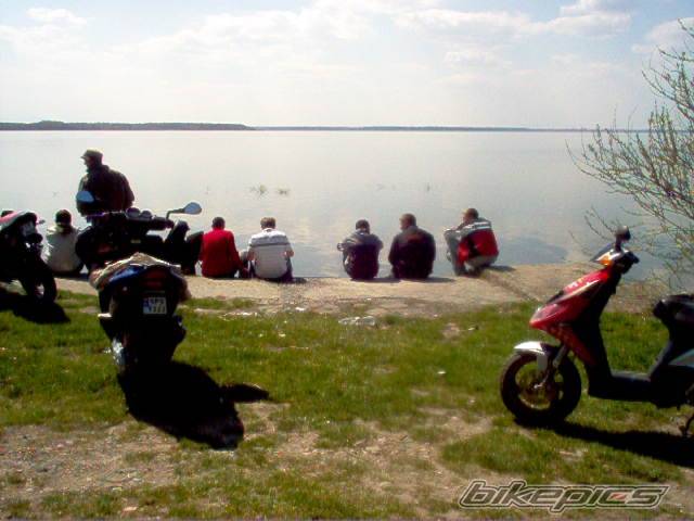 Photo 342223